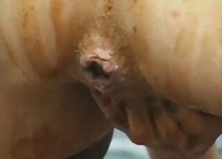 Poolside MFM threesome complete with eating poo